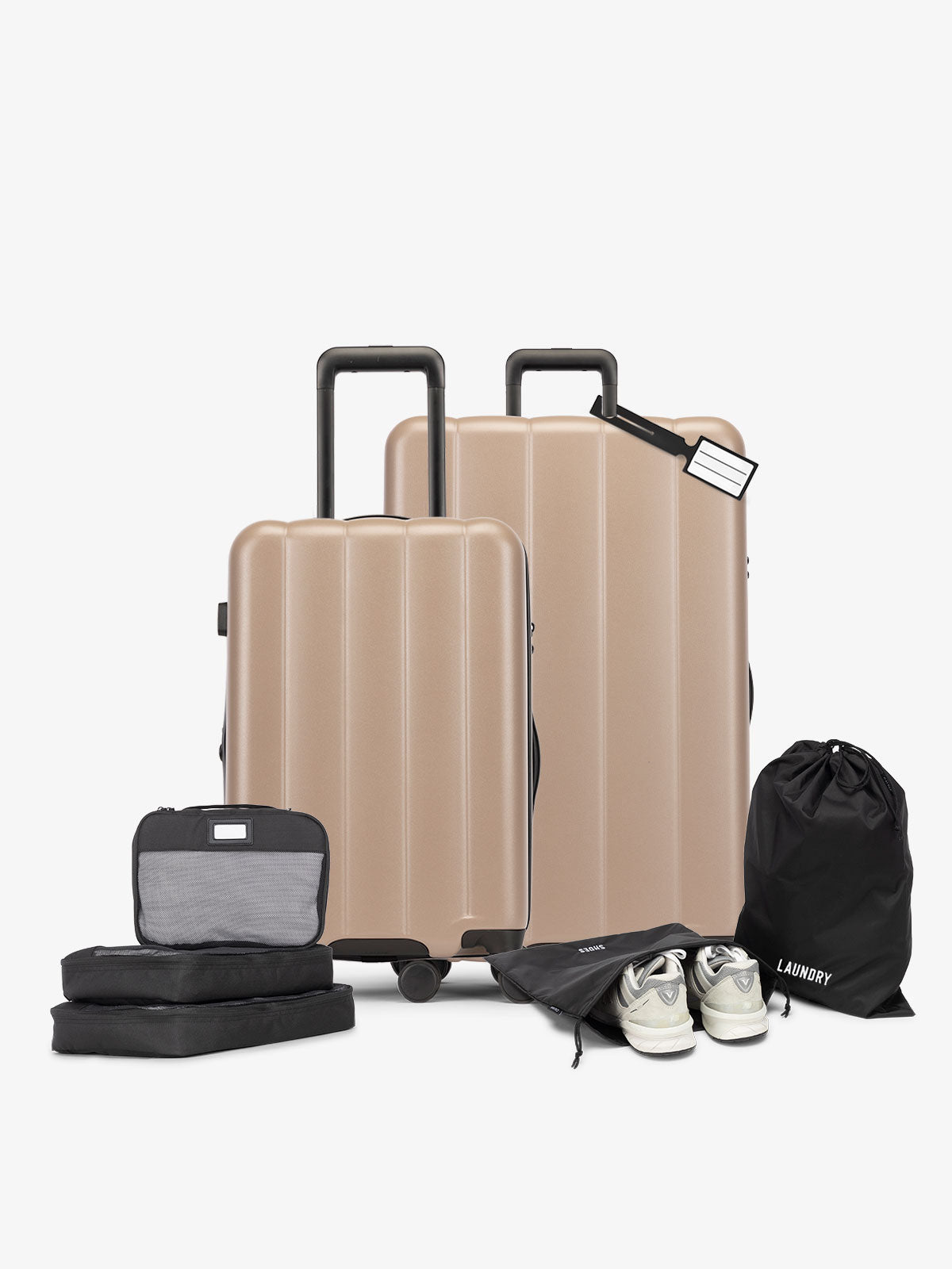 Evry Starter Bundle - Image 11